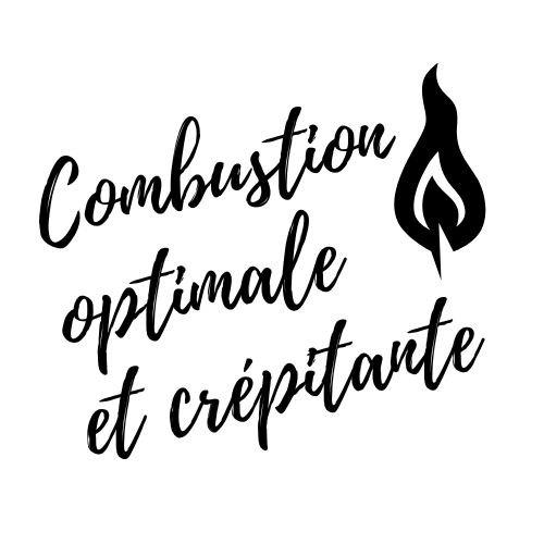 combustion-optimale-et-crepitante